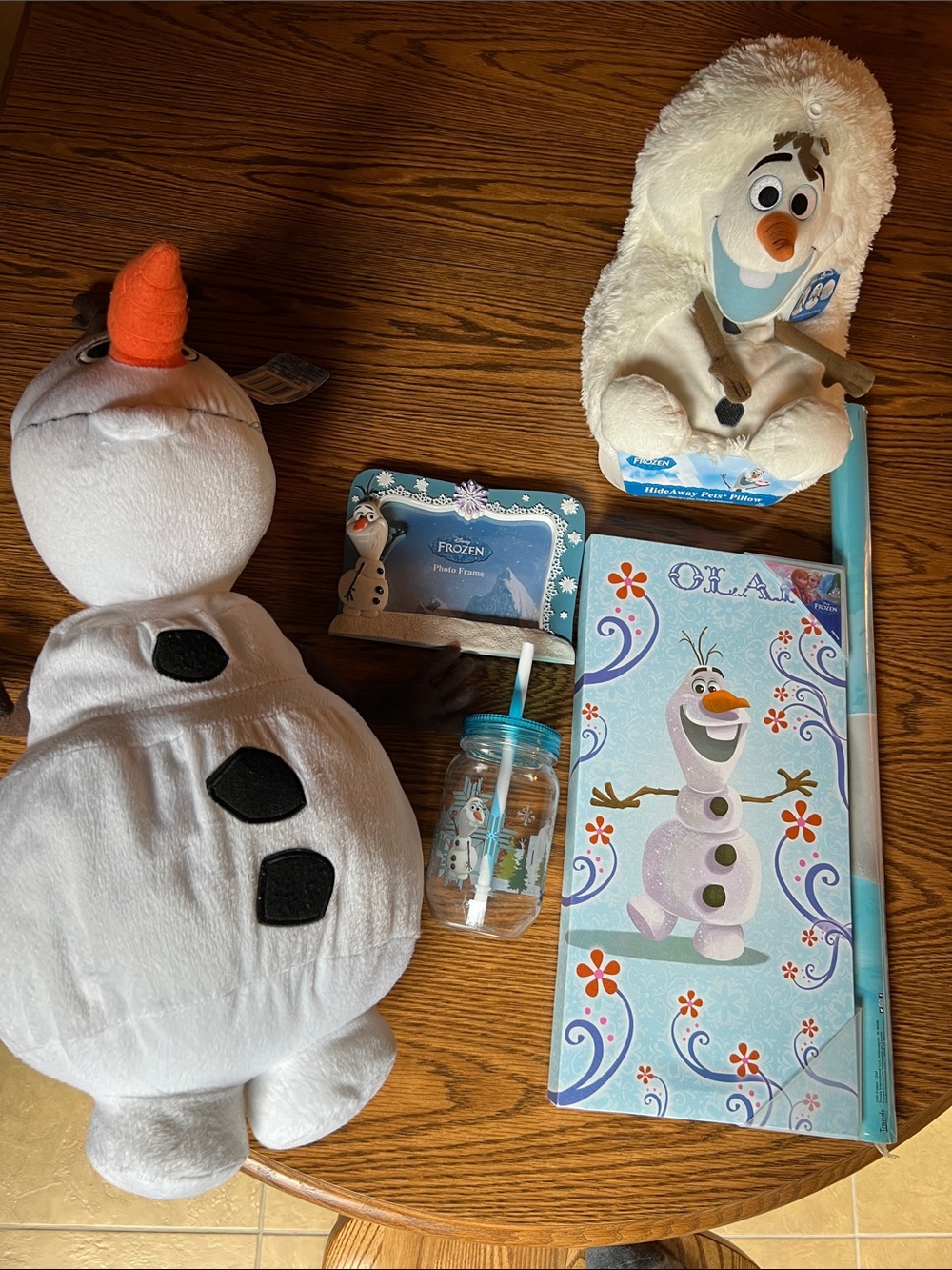 Disney Frozen Olaf pillow, hideaway pet pillow, picture frame, cup, wall art